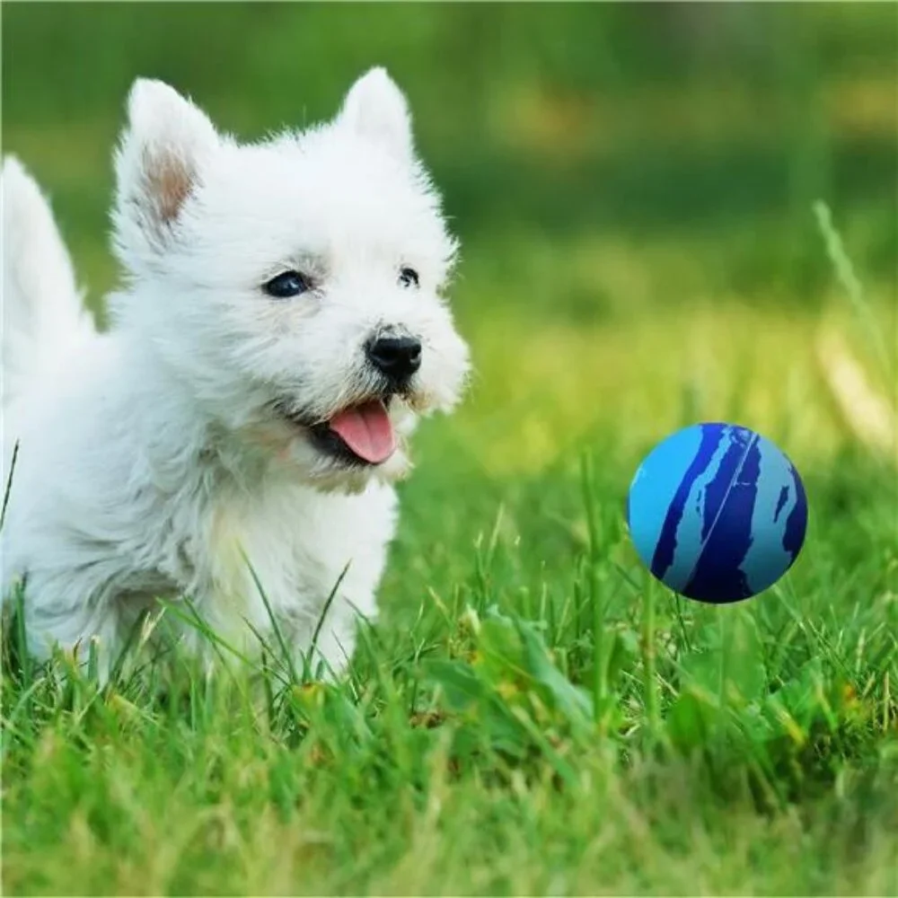 2.4-inch Rubber Super Bounce Ball Fetch Dog Toy, 3 Pack